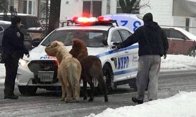 Σοβαρά προβλήματα από τη χιονοθύελλα «Στέλλα» στις βορειοανατολικές ΗΠΑ (video)