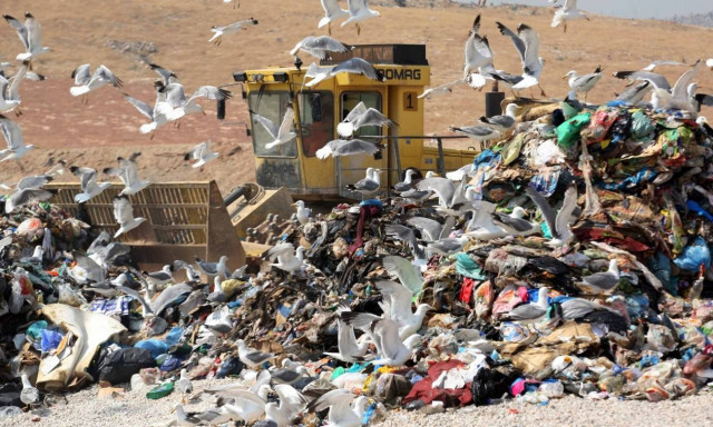 «Θρίλερ» με πτώμα γυναίκας στη χωματερή της Φυλής