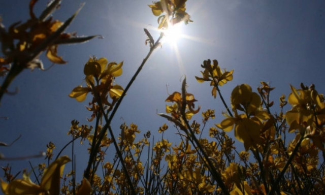Καιρός ΕΜΥ: Ο καιρός το Σαββατοκύριακο (18-19/3) - Αναλυτική πρόγνωση