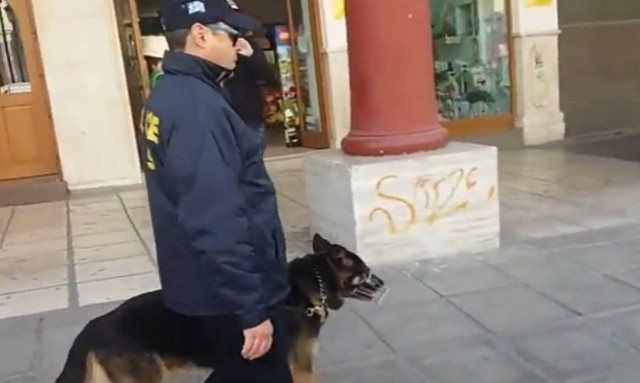 Σκύλοι «ντετέκτιβ» στους δρόμους της Θεσσαλονίκης (vid)