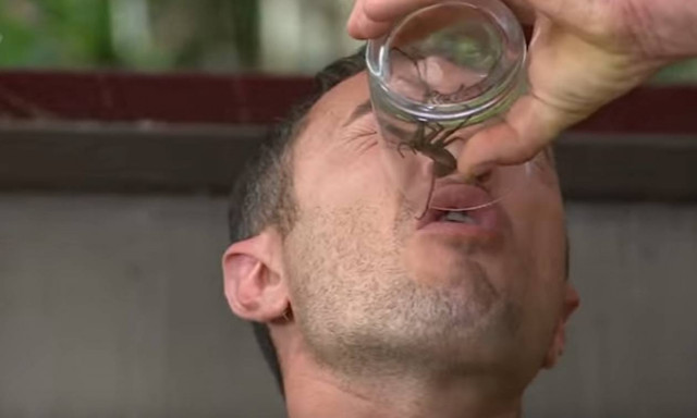 Βίντεο ΣΟΚ: Δείτε γιατί ο ΑΝΤ1 βάζει πάγο στο «celebrity»