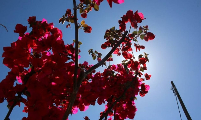 Καιρός: Με… ανοιξιάτικη διάθεση την Κυριακή (19/3) - Ανεβαίνει η θερμοκρασία