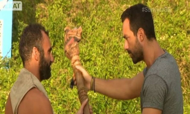 Survivor: Σίγουρα δεν είχες παρατηρήσει ποτέ αυτή τη λεπτομέρεια στο «τοτέμ» της ασυλίας