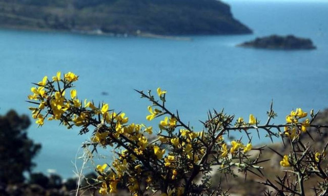 Weather forecast: Mostly fair on Monday (20/03/2017)