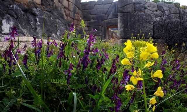 Weather forecast: Mostly fair on Tuesday (21/03/2017)