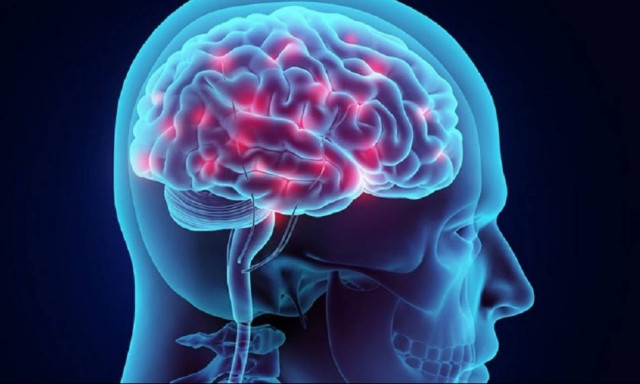 Εντοπίσθηκε γονίδιο που γερνάει απότομα τον εγκέφαλο ενός ανθρώπου μετά τα 65