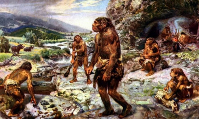 Νέα μελέτη: Τριχωτούς ρινόκερους έτρωγαν οι Νεάντερταλ 50.000 χρόνια πριν!