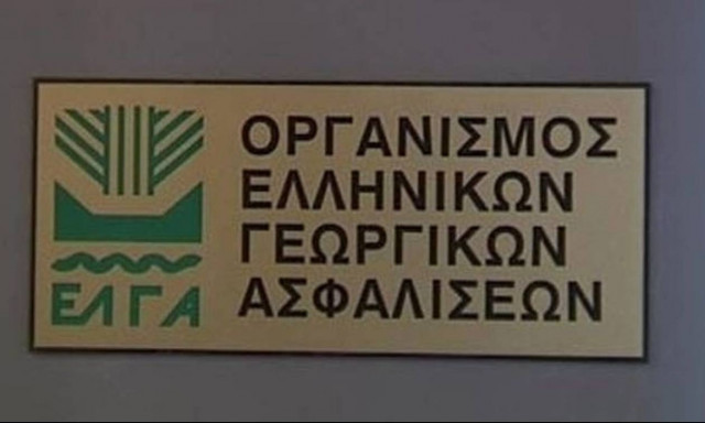 ΕΛΓΑ: Πότε και σε ποιους δίνει αποζημιώσεις