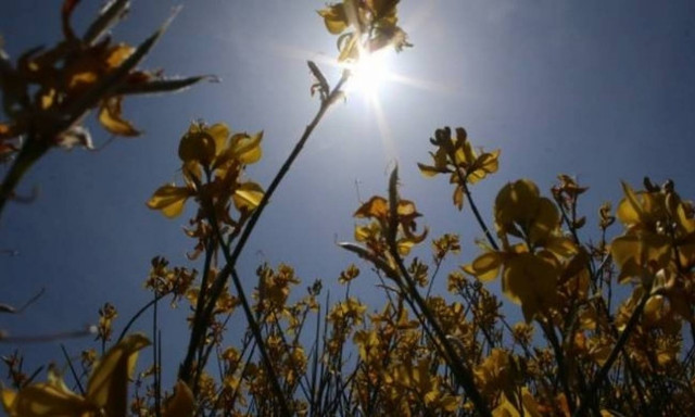 Καιρός ΕΜΥ: Ο καιρός το Σαββατοκύριακο - Αναλυτική πρόγνωση