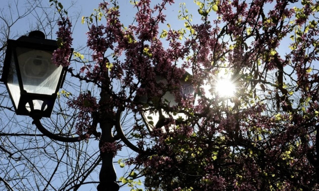 Weather forecast on Saturday (25/03/2017): Bright and sunny