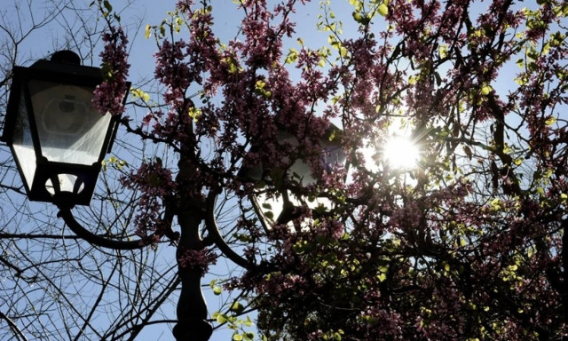 Καιρός - 25η Μαρτίου: «Μύρισε» καλοκαιράκι - Με ήλιο και ζέστη η παρέλαση