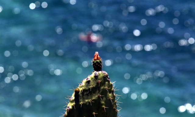 Καιρός: Ήλιος και άνοδος της θερμοκρασίας την Κυριακή - Ομπρέλες από... Δευτέρα