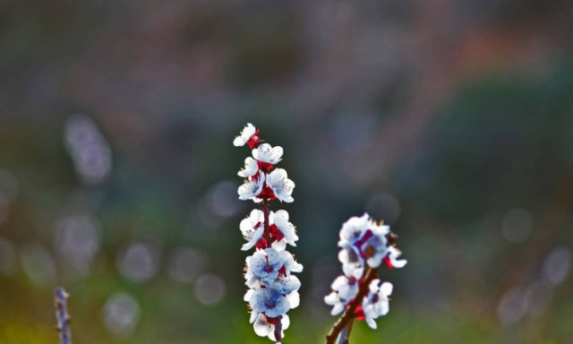 Weather forecast: Mostly fair on Wednesday (29/03/2017)