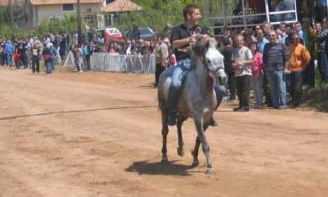 Δήμος Καλαμάτας: Εγκαίνια Δημοτικού Ιππικού Κέντρου Πλατέος