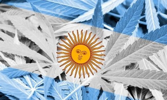 Το Μπουένος 'Αιρες νομιμοποιεί τη χρήση ιατρικής κάνναβης