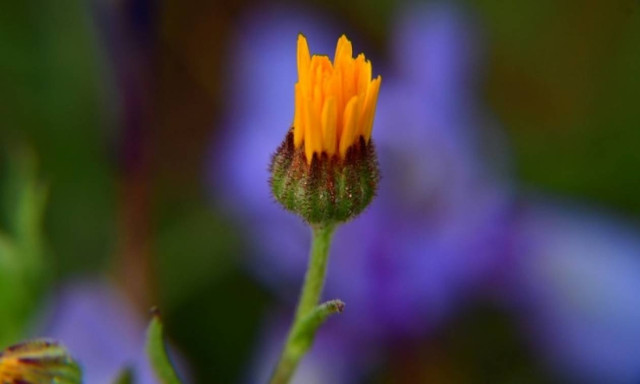 Weather forecast: Mostly fair on Saturday (01/04/2017)