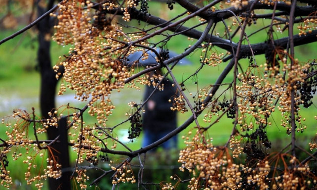 Καιρός ΕΜΥ: Πού θα βρέξει την Τρίτη (4/4) - Αναλυτική πρόγνωση