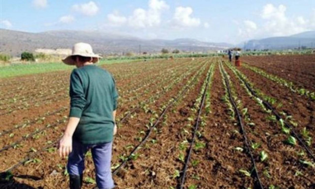 Λύση - πακέτο για τα χρέη των αγροτών: Οι προϋποθέσεις και τα κριτήρια