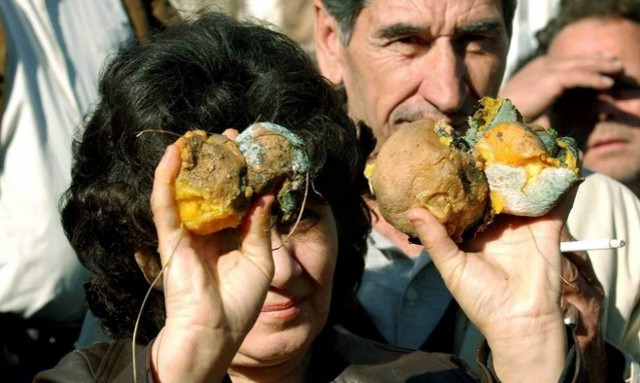 Πώς και πότε θα καταβληθούν στους αγρότες οι αποζημιώσεις του 2016