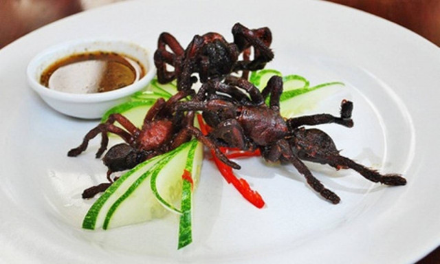 Βραστή ταραντούλα και ομελέτα με αυγά κουνουπιών - Δείτε το βίντεο αν αντέχετε