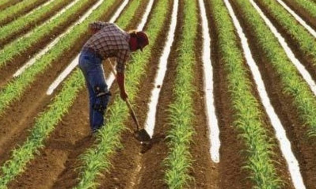 ΟΓΑ: Πότε θα πιστωθεί το 50% της πρώτης δόσης των οικογενειακών επιδομάτων