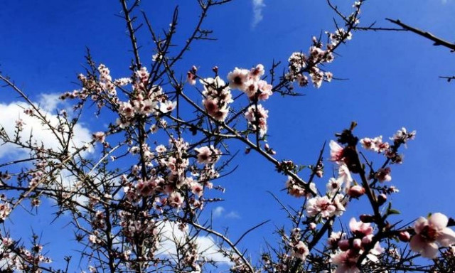 Weather forecast: Fair on Sunday (09/04/2017)