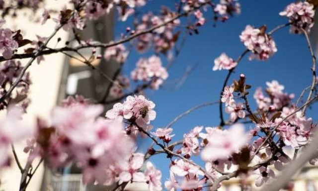 Καιρός: «Μύρισε» καλοκαίρι - Άνοδος της θερμοκρασίας την Κυριακή