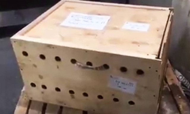 Κι όμως! Αυτό το κουτί έκρυβε ένα σοκαριστικό θέαμα! (pics)