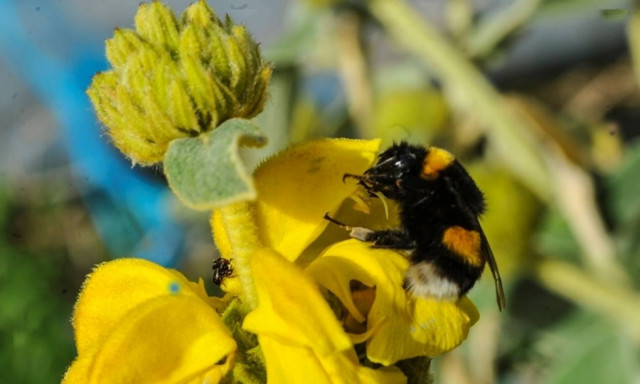 Weather forecast: Mostly fair on Tuesday (11/04/2017)