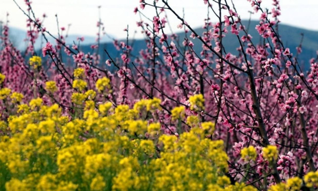 Weather forecast: Mostly fair on Thursday (13/04/2017)