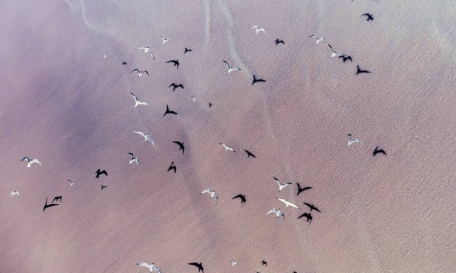 Νότια Αφρική… ο πολύχρωμος καμβάς της φύσης (photos)
