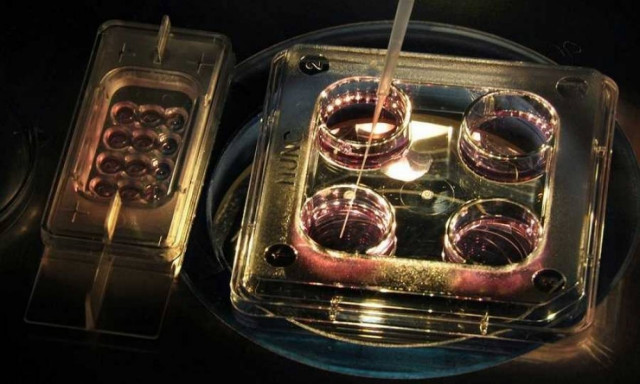 Έρχεται το τεστ αίματος «εξπρές»