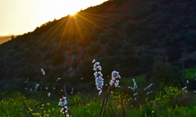 Weather forecast: Mostly fair on Friday (14/04/2017)