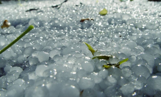 Καιρός – Κοζάνη: Οι αγρότες μετρούν τις πληγές τους μετά το χαλάζι