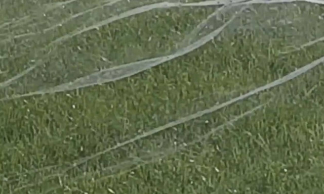 Δεν πάει το μυαλό σας τι είναι αυτό που βλέπετε στο βίντεο!