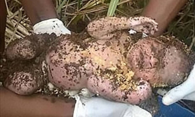 Φωτογραφία ΣΟΚ: Έθαψε το μωρό της ζωντανό και το βρήκαν συνάδελφοί της τρεις μέρες μετά!