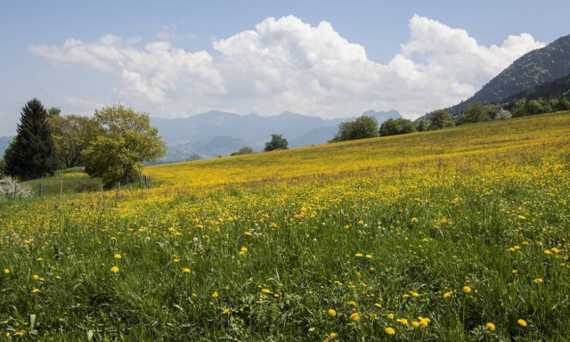 Καλλιάνος: Καλοκαίρι προ των πυλών - Στους 30 βαθμούς ο υδράργυρος