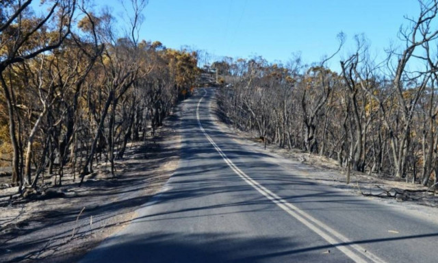 Απίστευτο: 12χρονος οδηγούσε για περισσότερα από 1.000 χιλιόμετρα χωρίς να τον σταματήσει κανείς