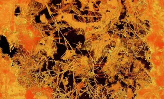 Βρέθηκαν απολιθώματα ηλικίας 2,4 δισεκατομμυρίων ετών στη Νότια Αφρική