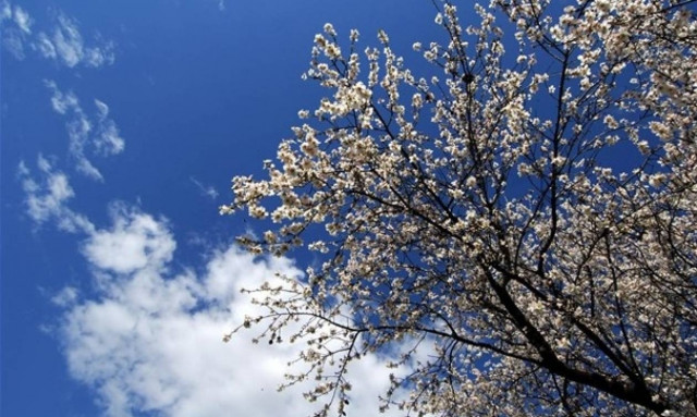 Καιρός για… καλοκαίρι - Δείτε πού θα φτάσει ο υδράργυρος τις επόμενες ημέρες