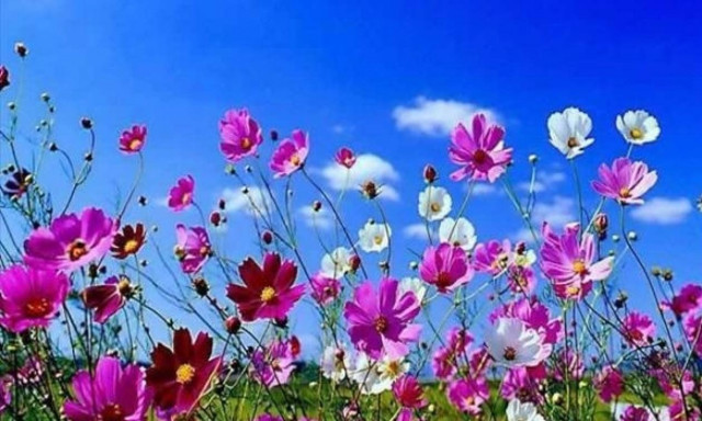 Πρωτομαγιά 2017 - Δείτε πόσο θα πληρωθείτε αν δουλέψετε την ημέρα της αργίας