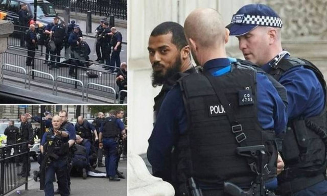 Man carrying bag of knives near UK Parliament arrested under Terrorism Act (pics)