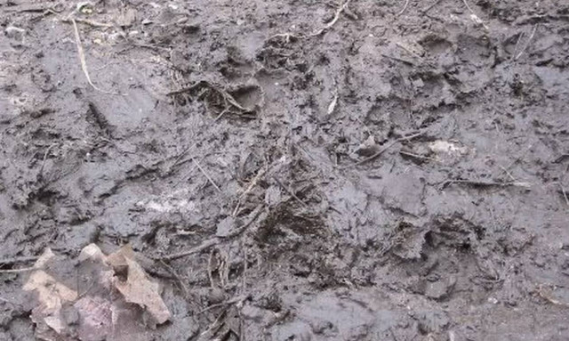 Το DNA της… λάσπης: Βρέθηκε για πρώτη φορά στο χώμα προϊστορικό ανθρώπινο γενετικό υλικό χωρίς οστά
