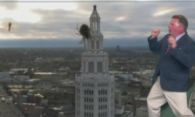 Πανικός: Η επική αντίδραση μετεωρολόγου on air στη θέα μιας…αράχνης! (vid)