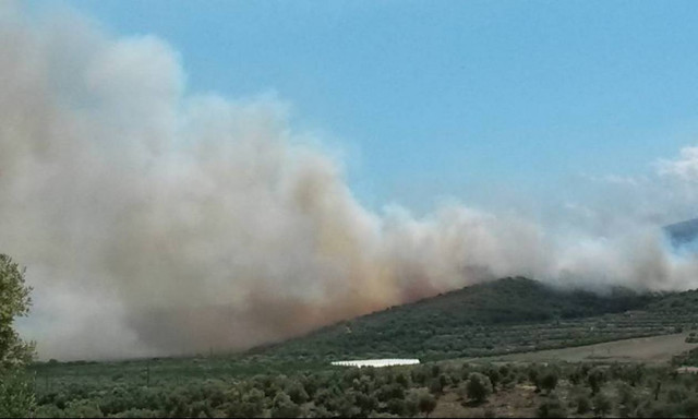 Φωτιά μαίνεται στο Σούλι Λακωνίας