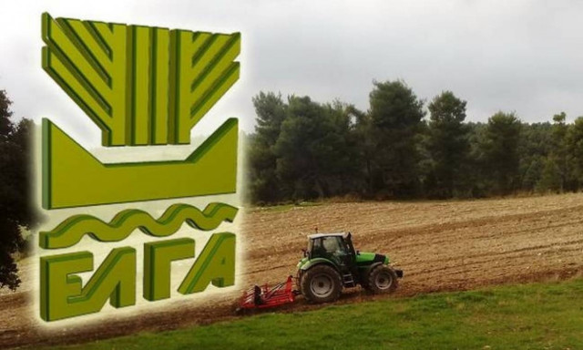 ΕΛΓΑ: Πραγματοποιήθηκε η πληρωμή αποζημιώσεων σε 9.772 δικαιούχους