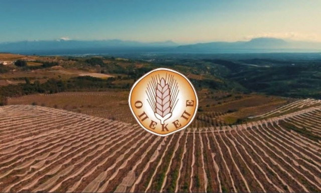 ΟΠΕΚΕΠΕ: Παράταση στην υποβολή δηλώσεων Ενιαίας Ενίσχυσης 2017