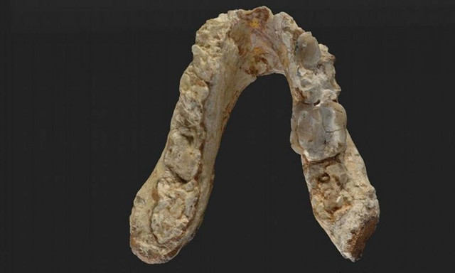 Νέα έρευνα: Ο πρώτος άνθρωπος ίσως να εμφανίσθηκε στην Ελλάδα!