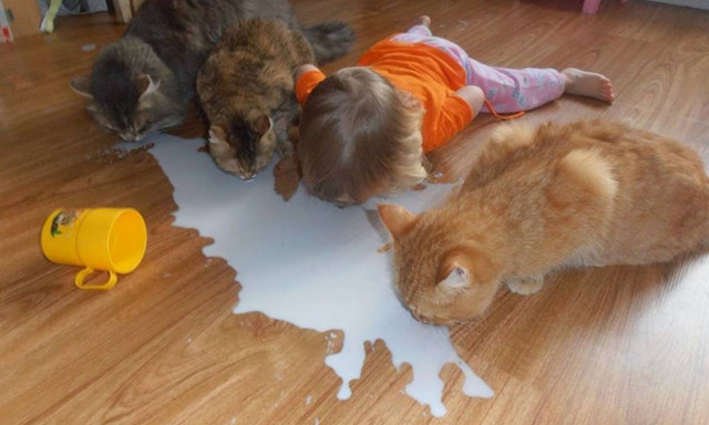 Viral: Κάτι δεν πάει καλά με αυτές τις φωτογραφίες