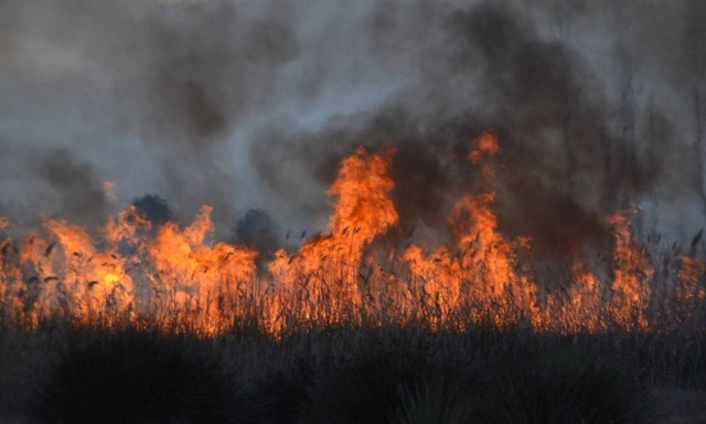 Μεγάλη φωτιά στο Ναύπλιο κοντά σε κατοικημένη περιοχή